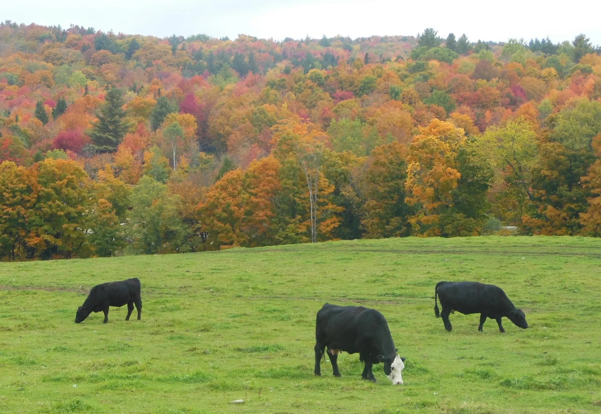 180 West Lake Road Wilmington VT 05363