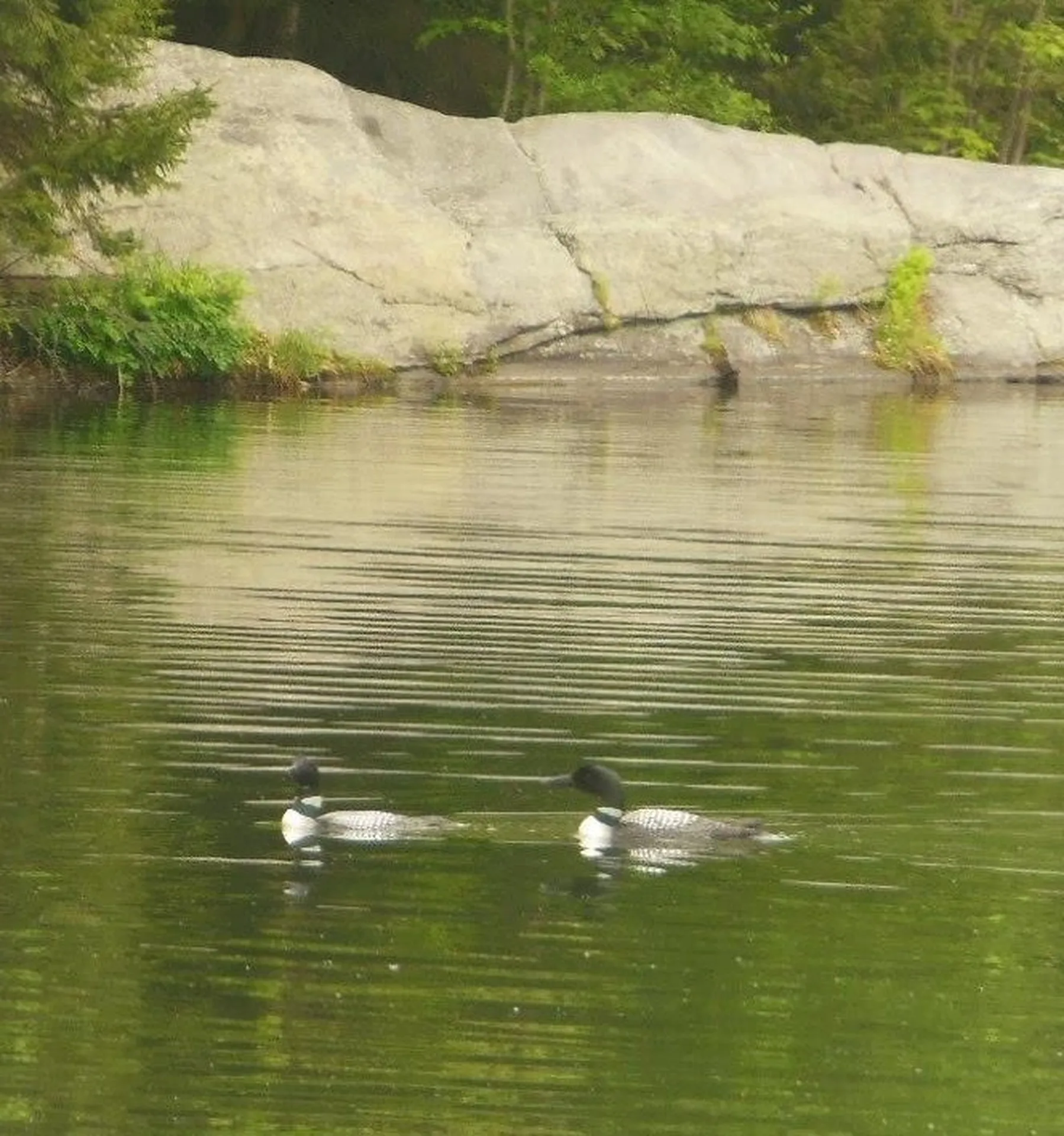 180 West Lake Road Wilmington VT 05363