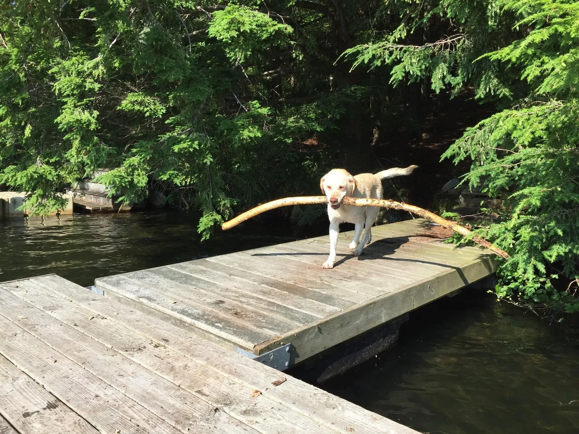 180 West Lake Road Wilmington VT 05363