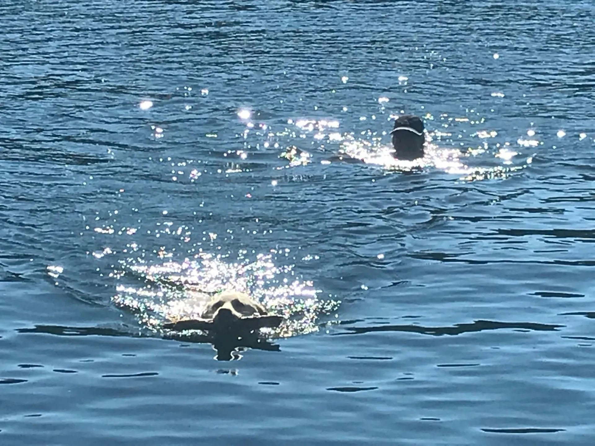 180 West Lake Road Wilmington VT 05363