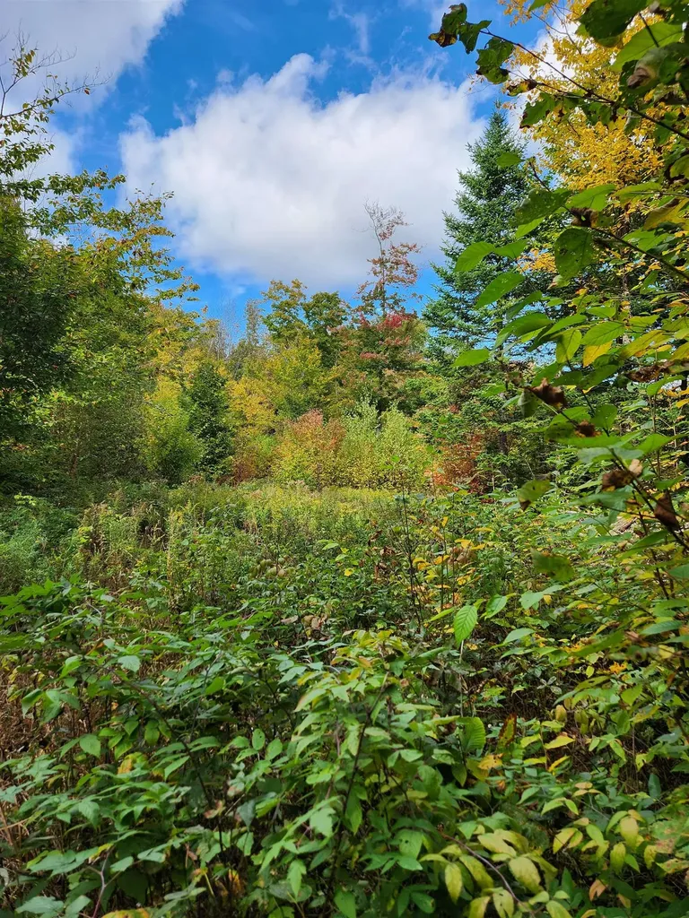 Off Groton North Road Groton NH 03241