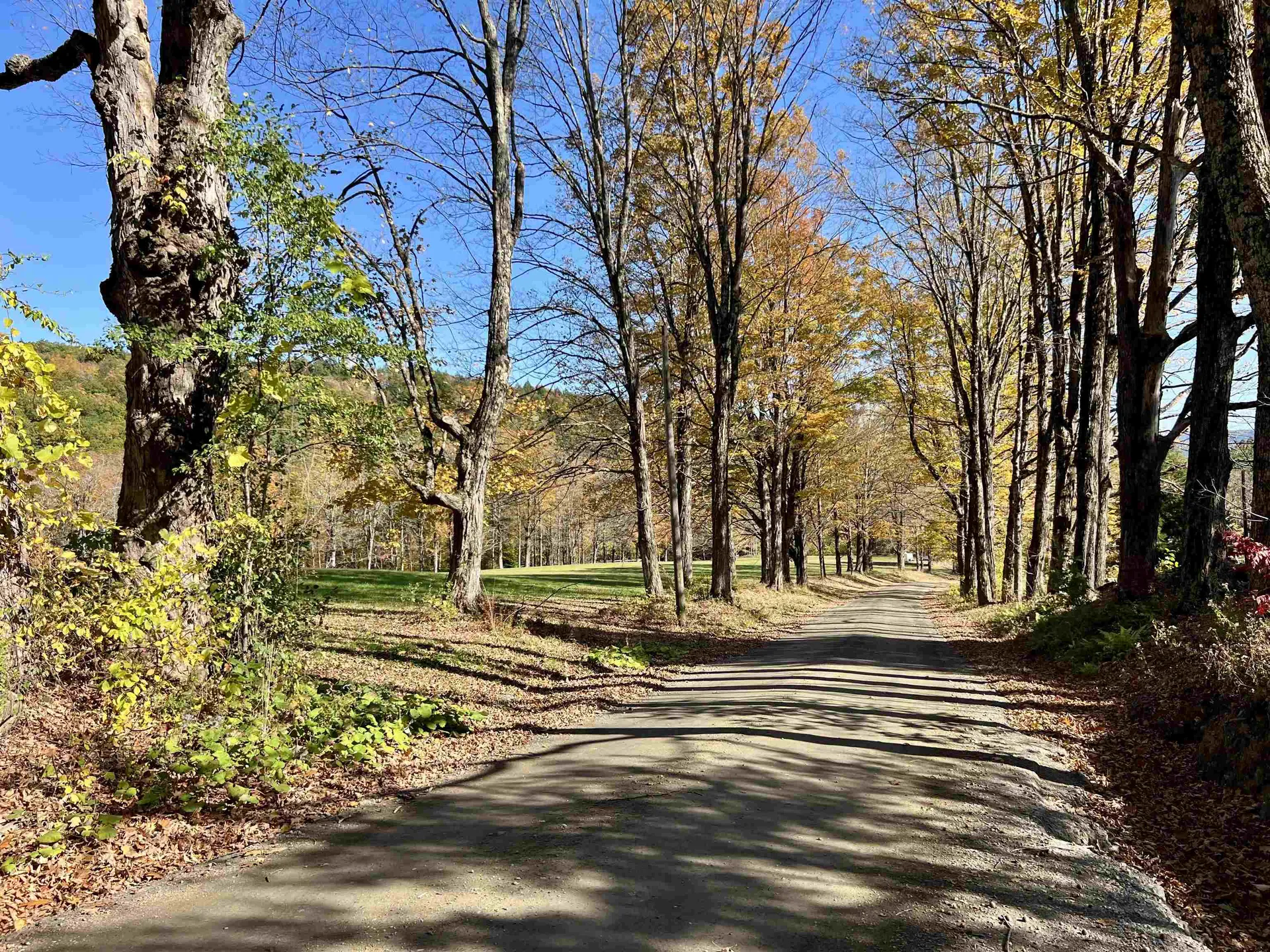 103 Spaulding Hill Road Dummerston VT 05301