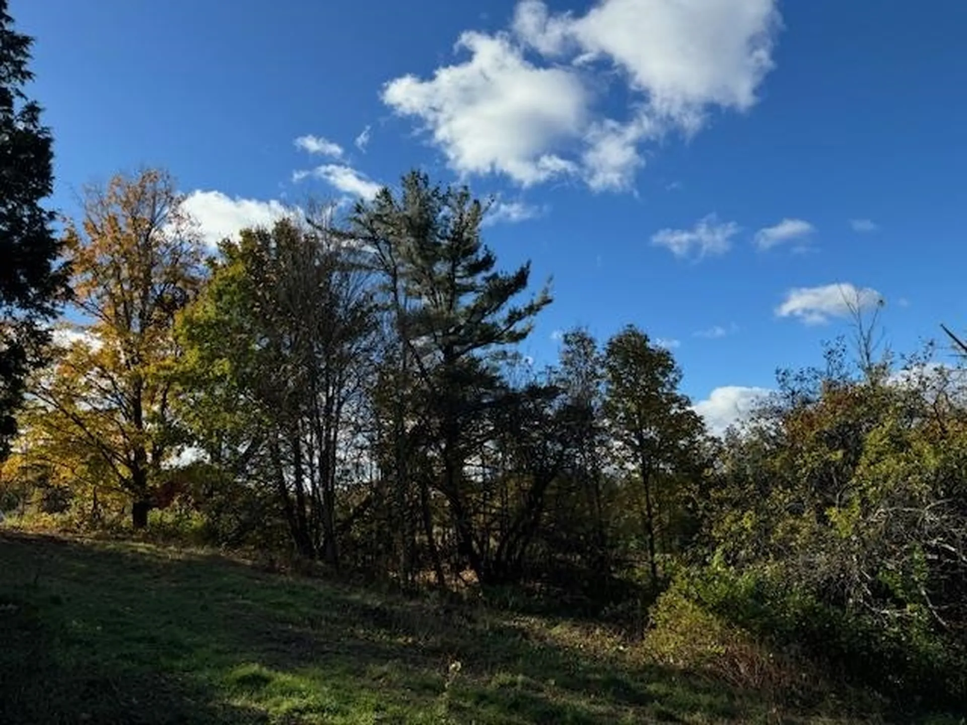 0 Mountain Hill Road Craftsbury VT 05826