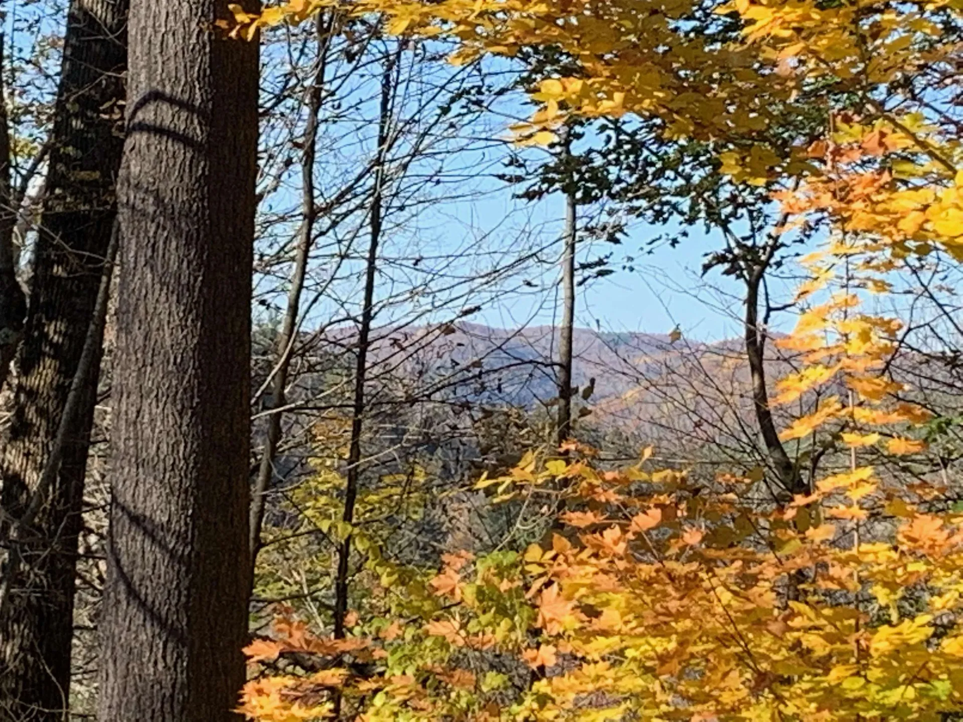 6 Highland Avenue Woodstock VT 05091