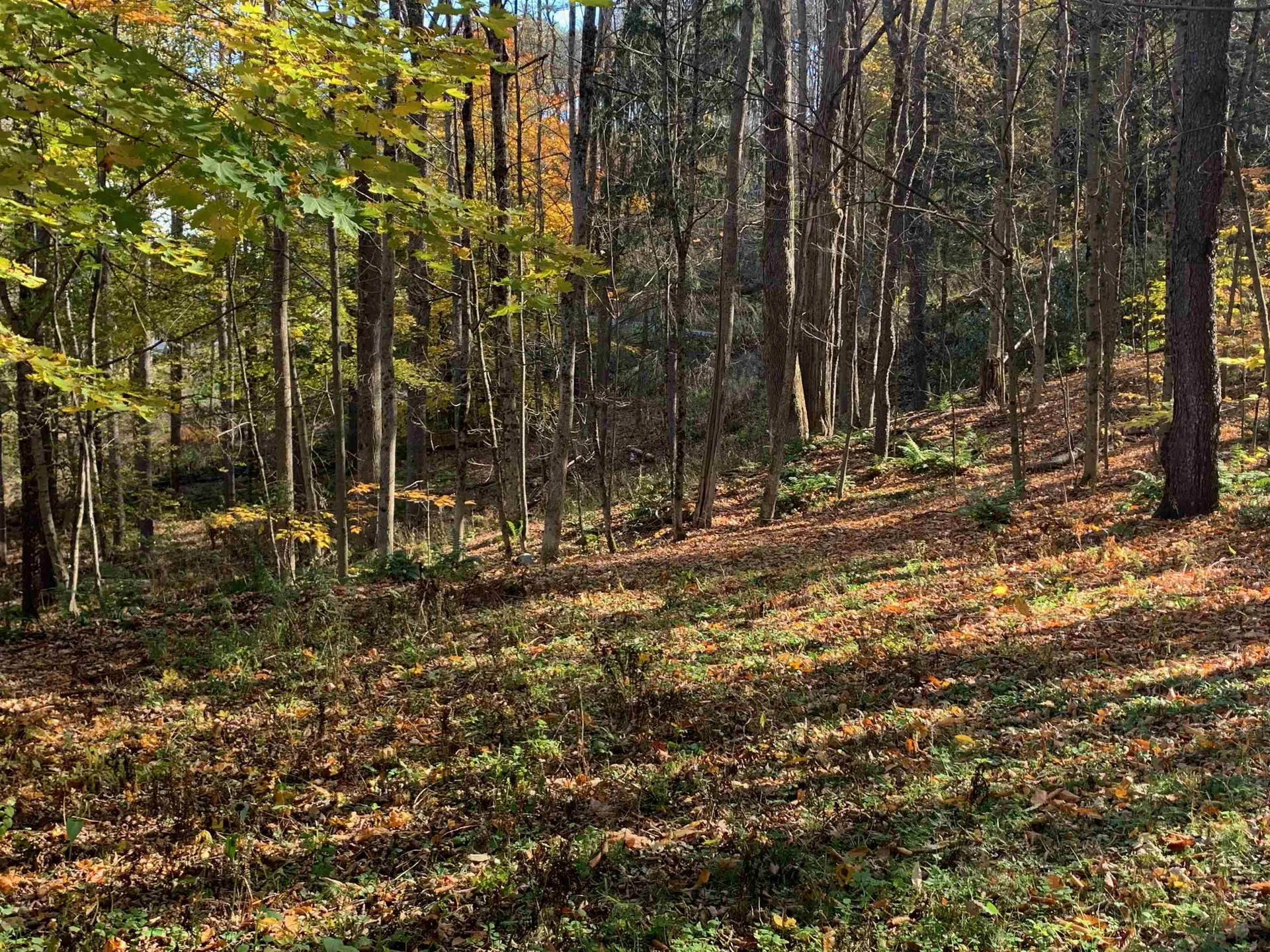 6 Highland Avenue Woodstock VT 05091