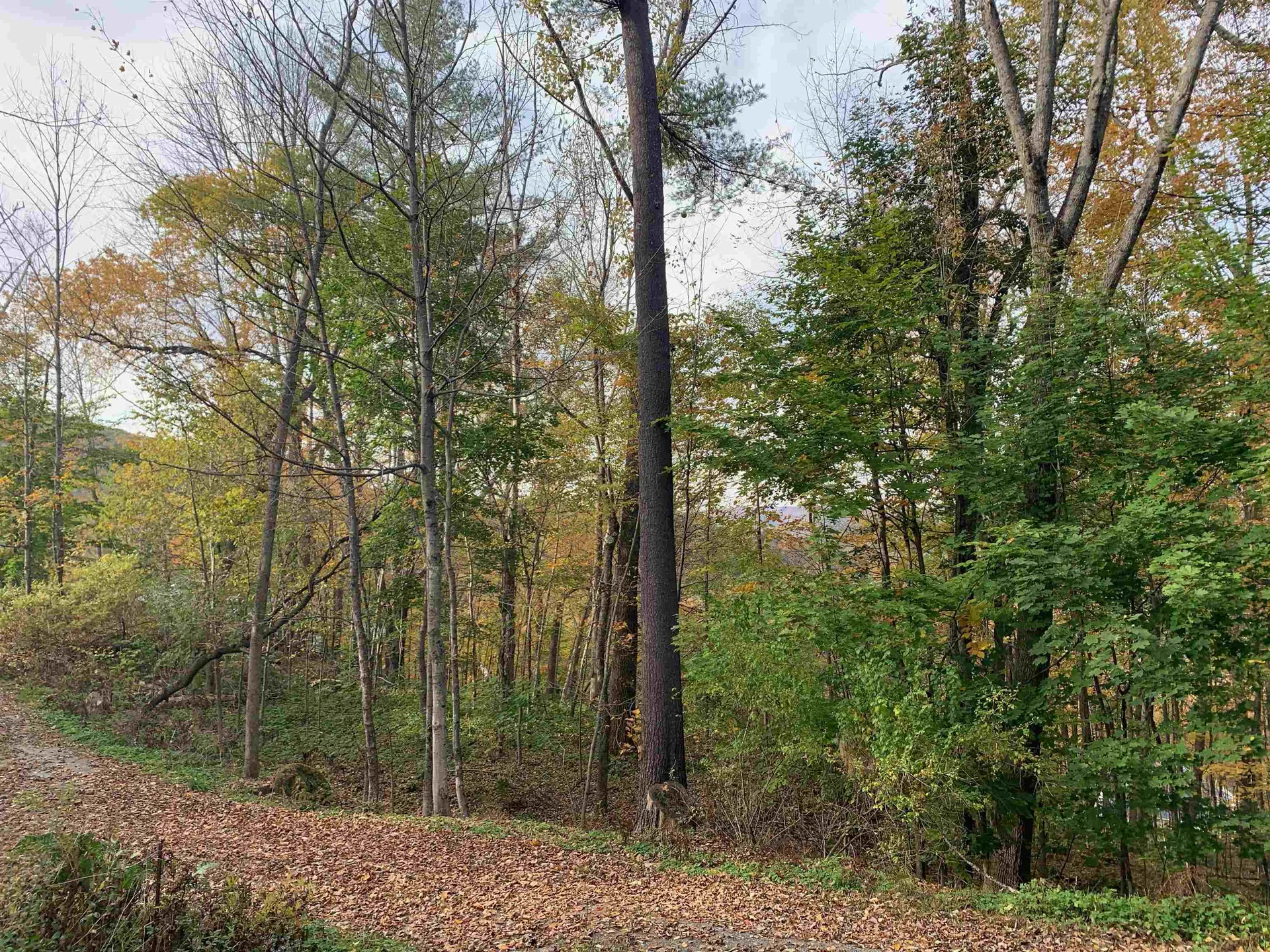 6 Highland Avenue Woodstock VT 05091