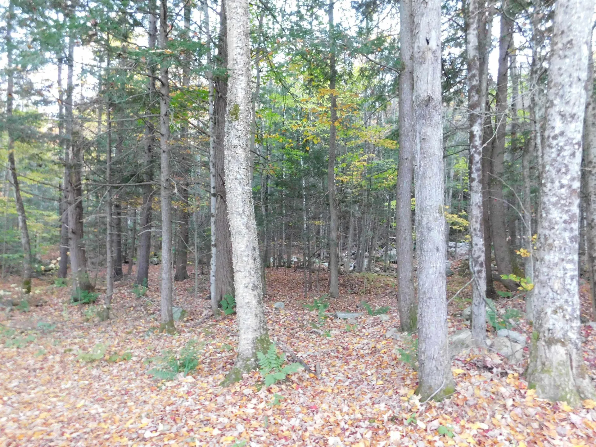 410 Route 100 S Ludlow VT 05149