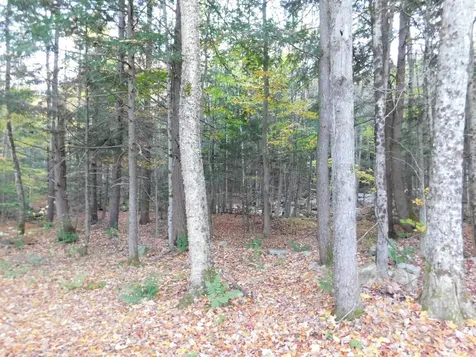 410 Route 100 S Ludlow VT 05149