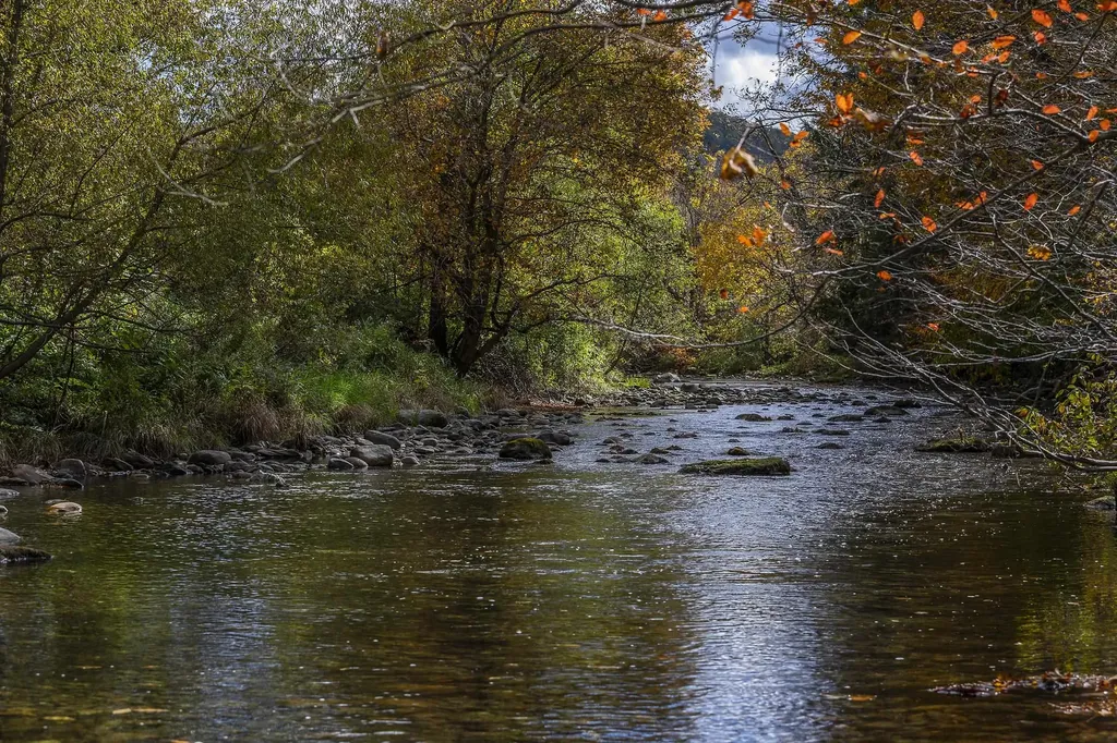 330 Rupert Hill Road Pawlet VT 05761