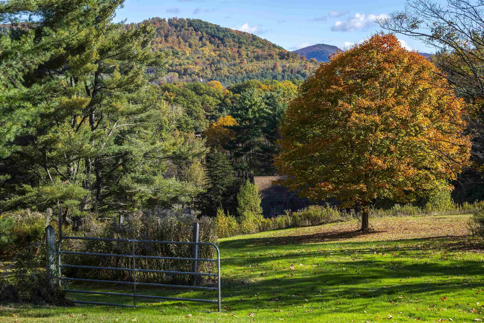 330 Rupert Hill Road Pawlet VT 05761