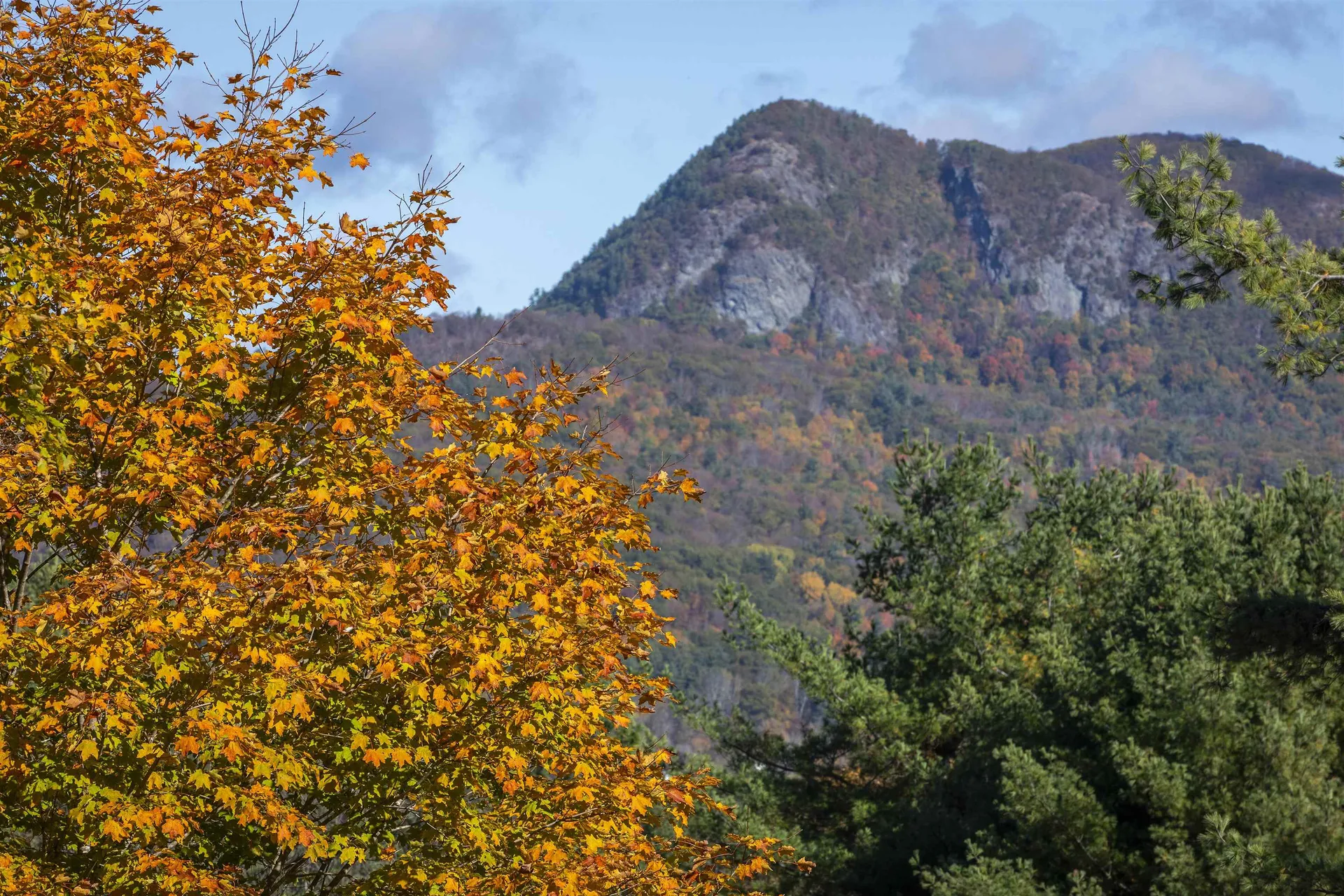 330 Rupert Hill Road Pawlet VT 05761