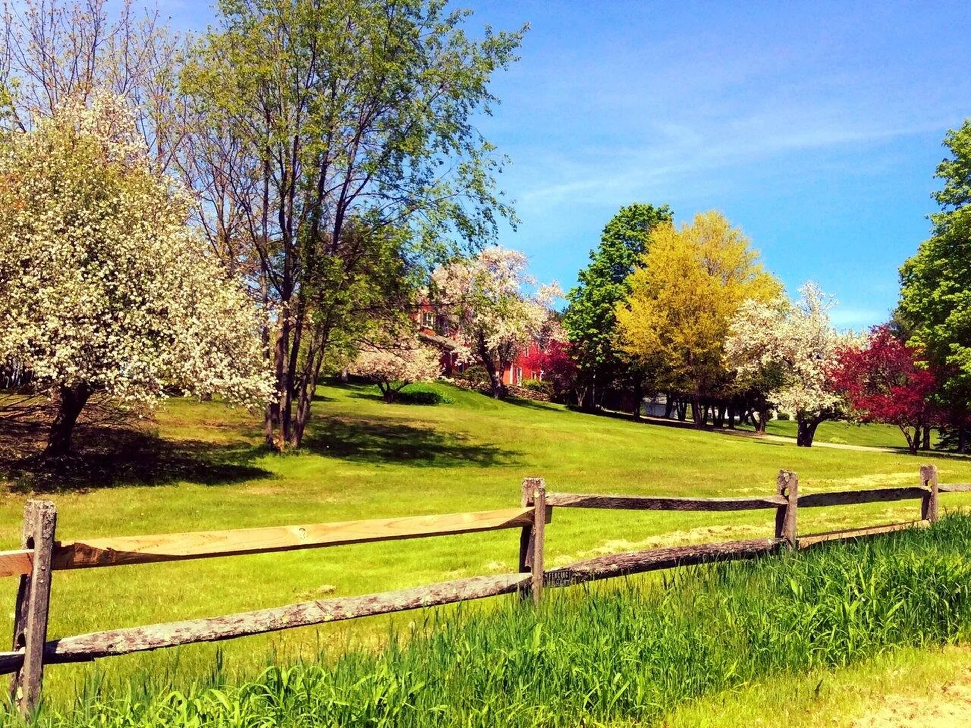 33 Vista Drive Shelburne VT 05482
