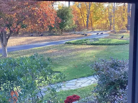 195 Clement Road Rollinsford NH 03869