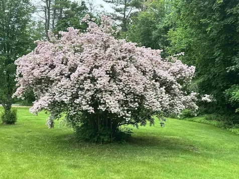 195 Clement Road Rollinsford NH 03869