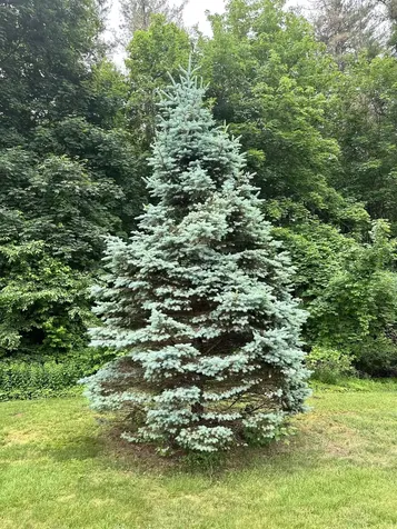 195 Clement Road Rollinsford NH 03869