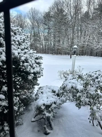 195 Clement Road Rollinsford NH 03869