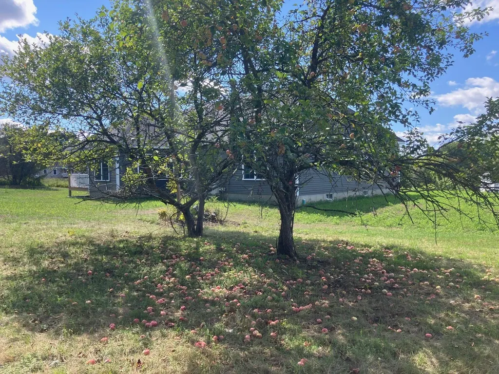 5 Begnoche Drive Swanton VT 05488