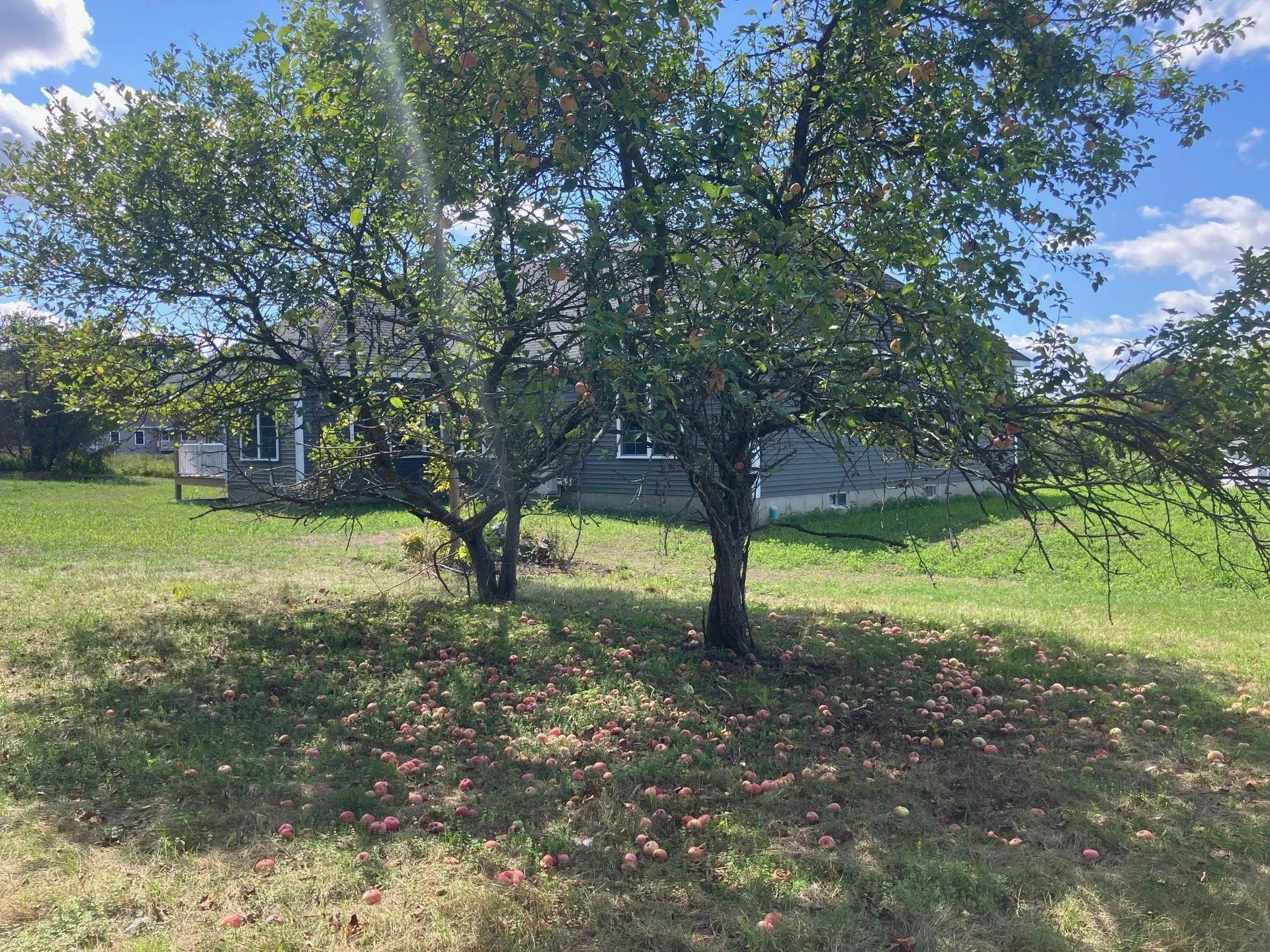 5 Begnoche Drive Swanton VT 05488