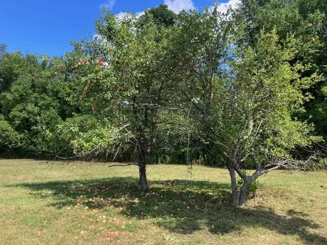 5 Begnoche Drive Swanton VT 05488