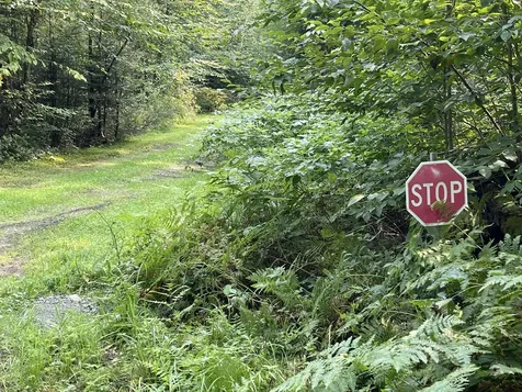 1195 Lancaster Road Lunenburg VT 05906