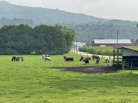 1195 Lancaster Road Lunenburg VT 05906