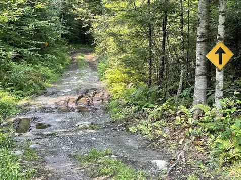 1195 Lancaster Road Lunenburg VT 05906