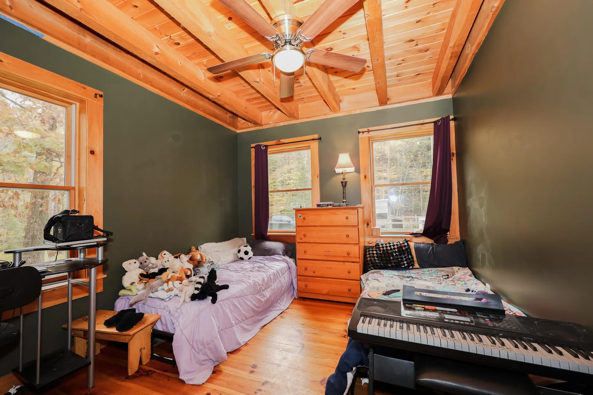 449 Pine Hill Road Croydon NH 03773