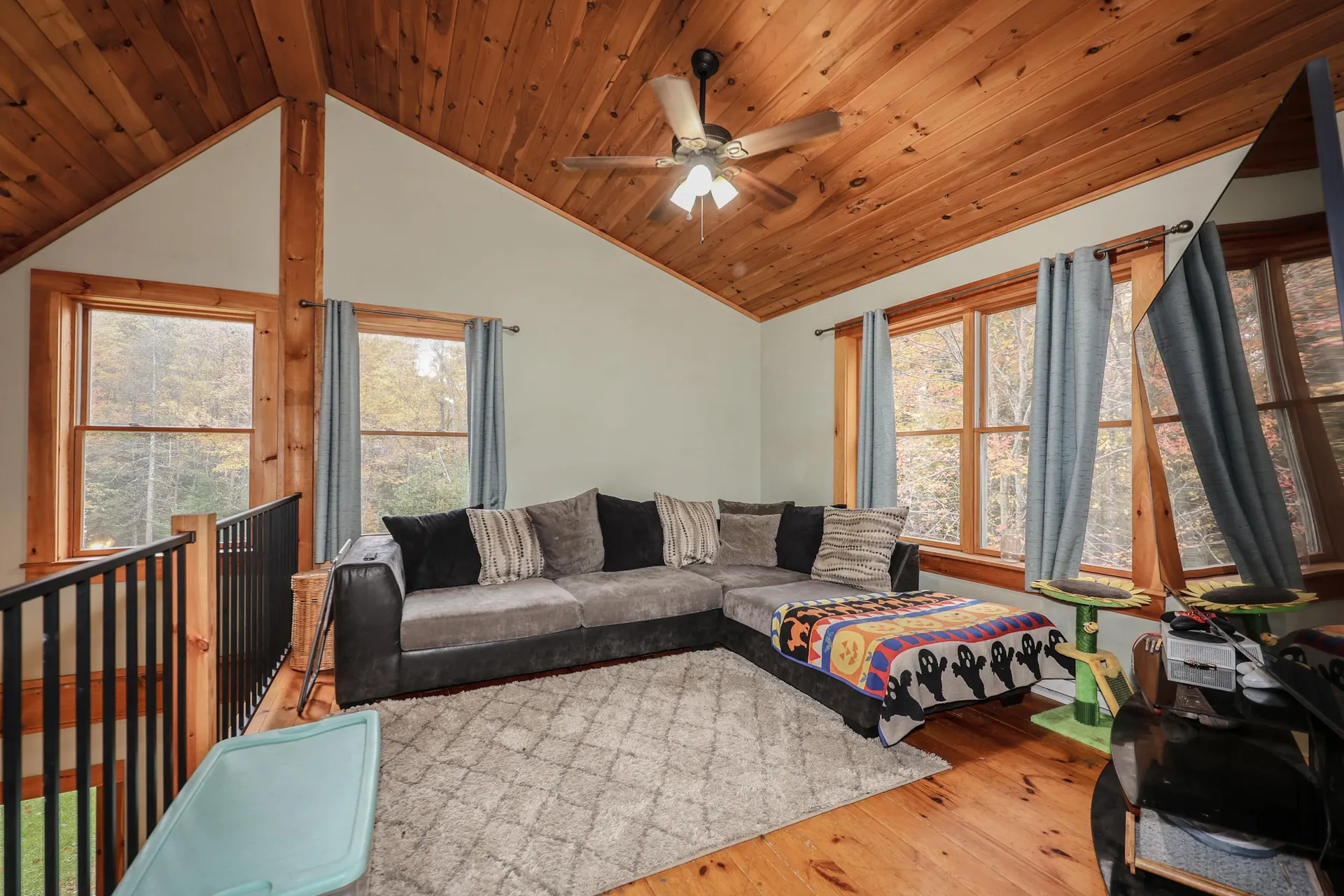 449 Pine Hill Road Croydon NH 03773
