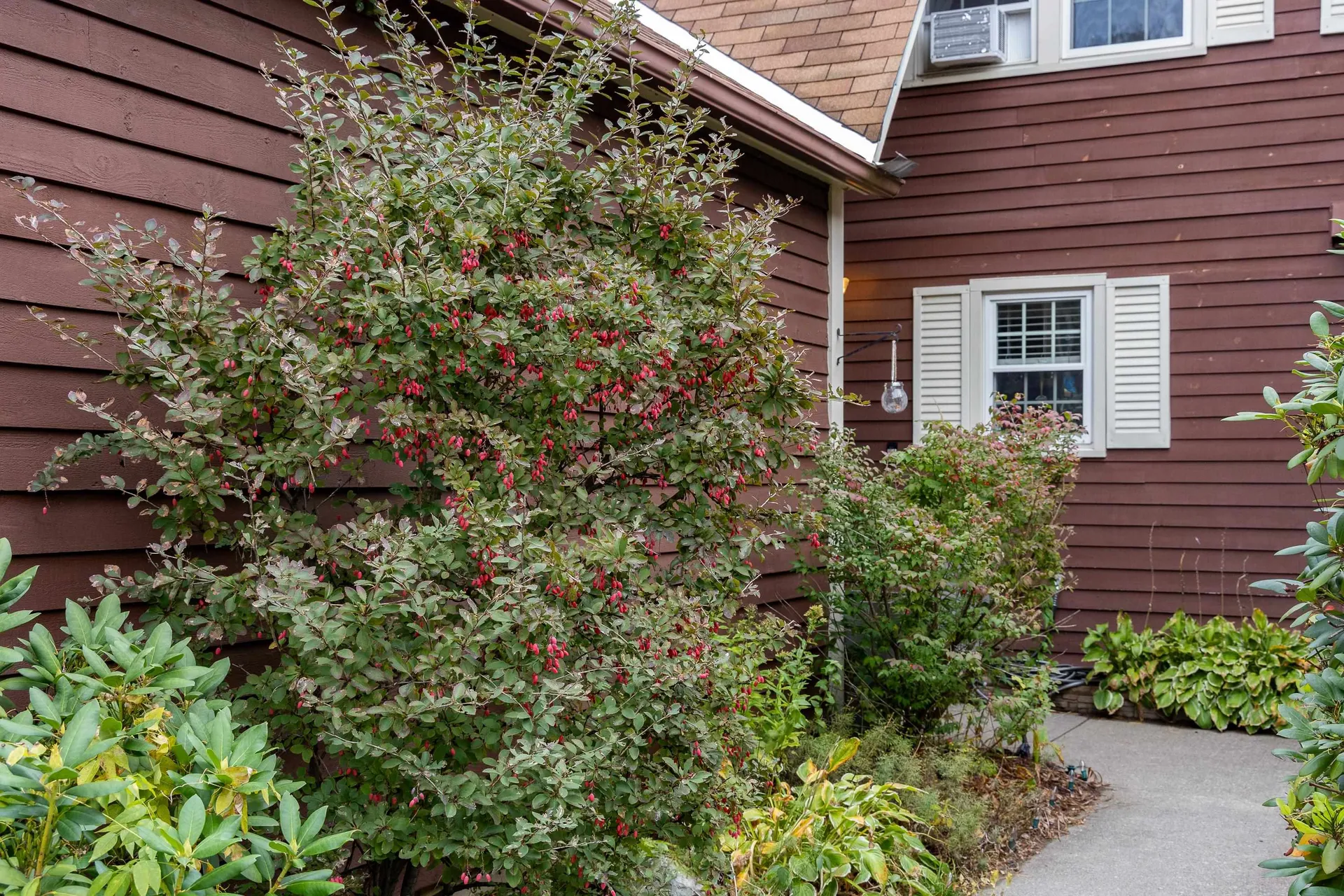 104 Woodbine By The Lake Colchester VT 05446