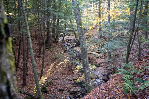 11 Todd Hill Road Winhall VT 05340