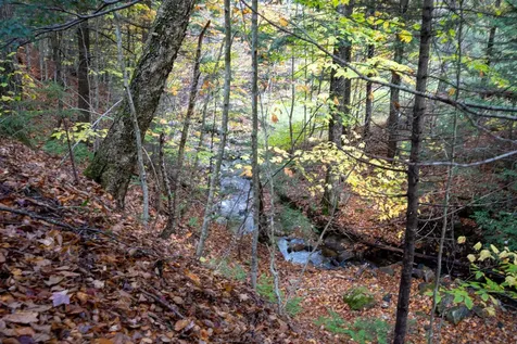 11 Todd Hill Road Winhall VT 05340