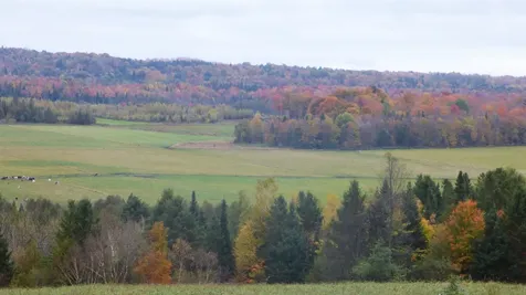 341 Holland Pond Road Holland VT 05830