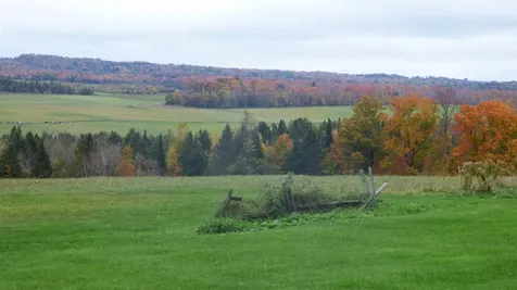 341 Holland Pond Road Holland VT 05830