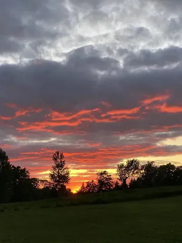 341 Holland Pond Road Holland VT 05830