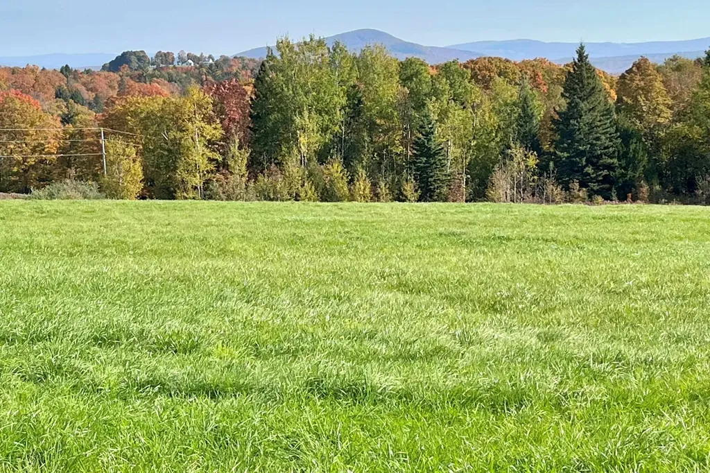 0 King Road Glover VT 05875