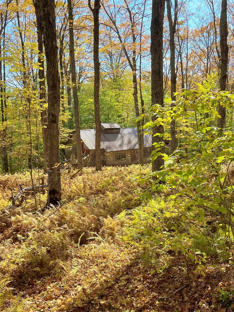 0 King Road Glover VT 05875