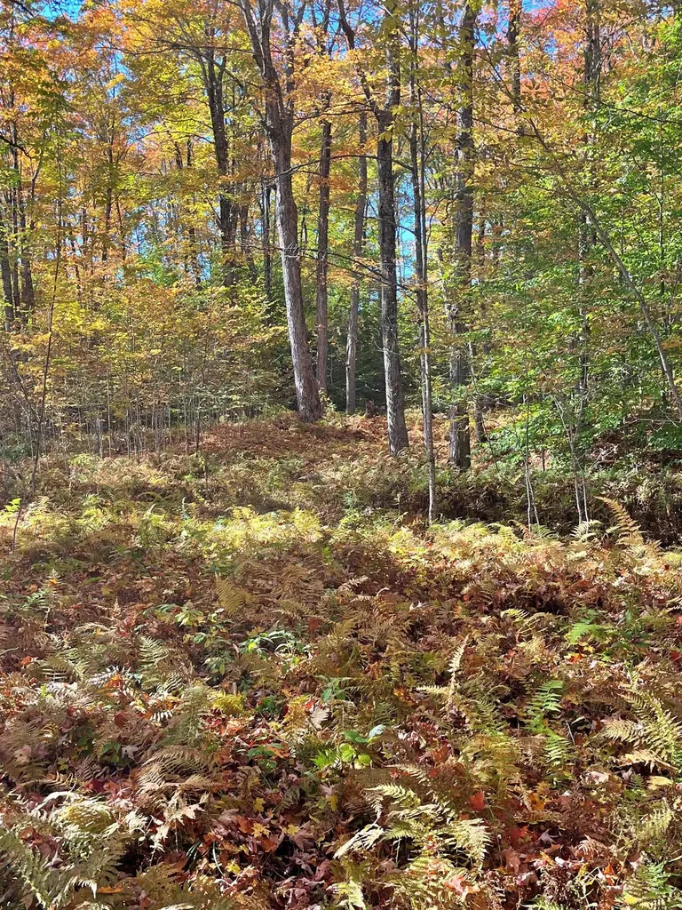 0 King Road Glover VT 05875