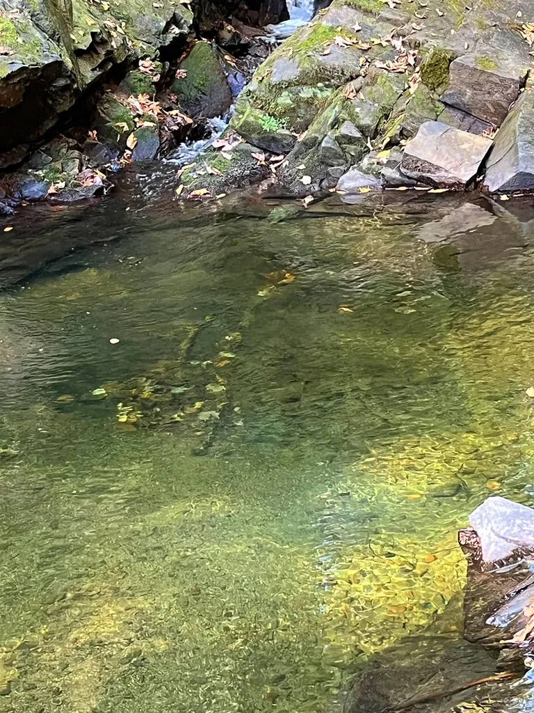 0 King Road Glover VT 05875