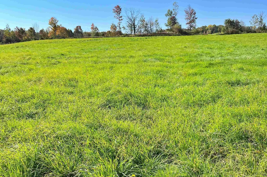 0 King Road Glover VT 05875