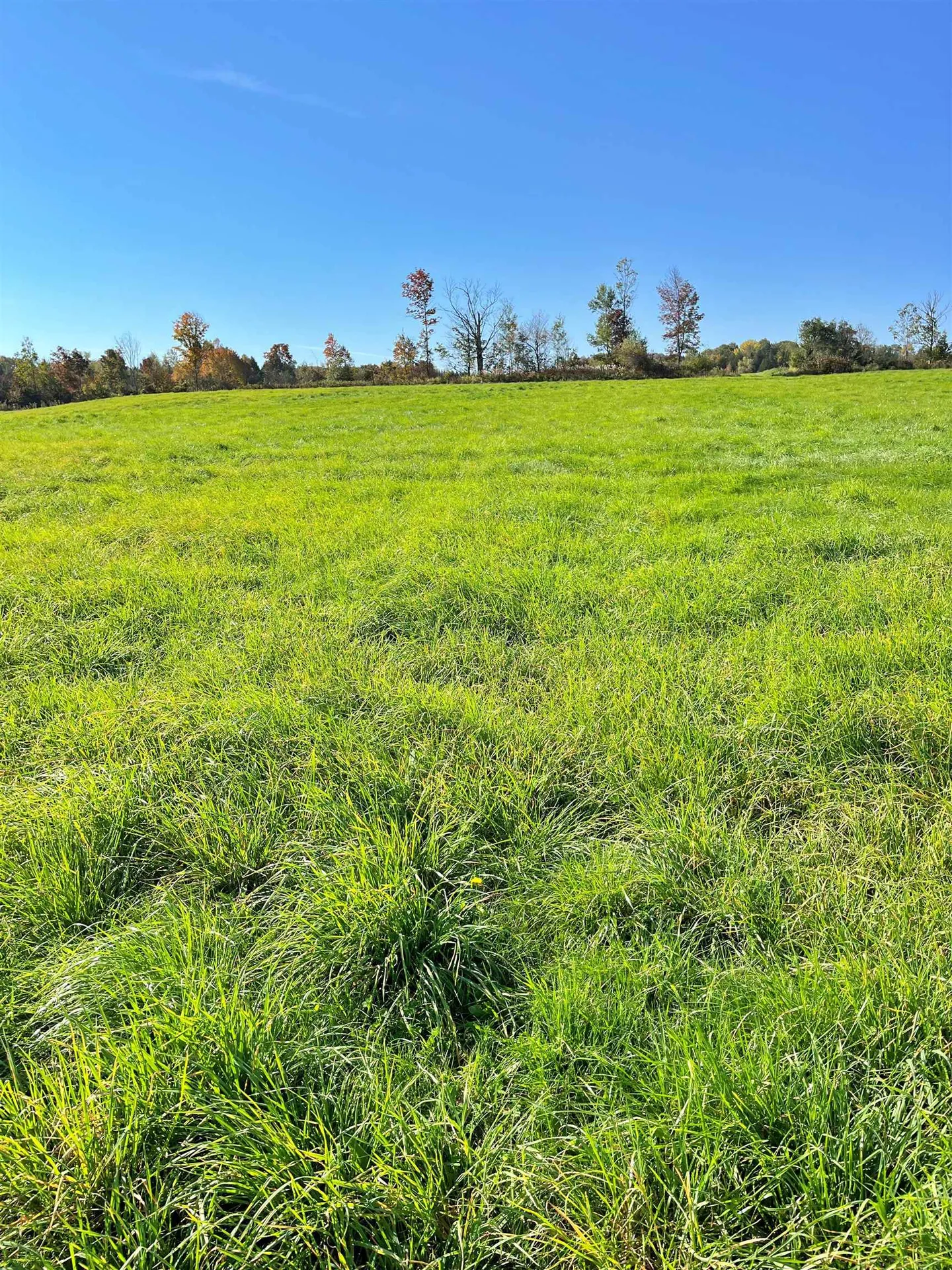 0 King Road Glover VT 05875