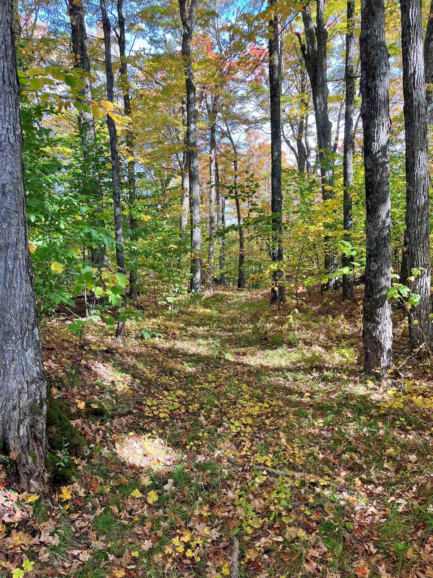 0 King Road Glover VT 05875