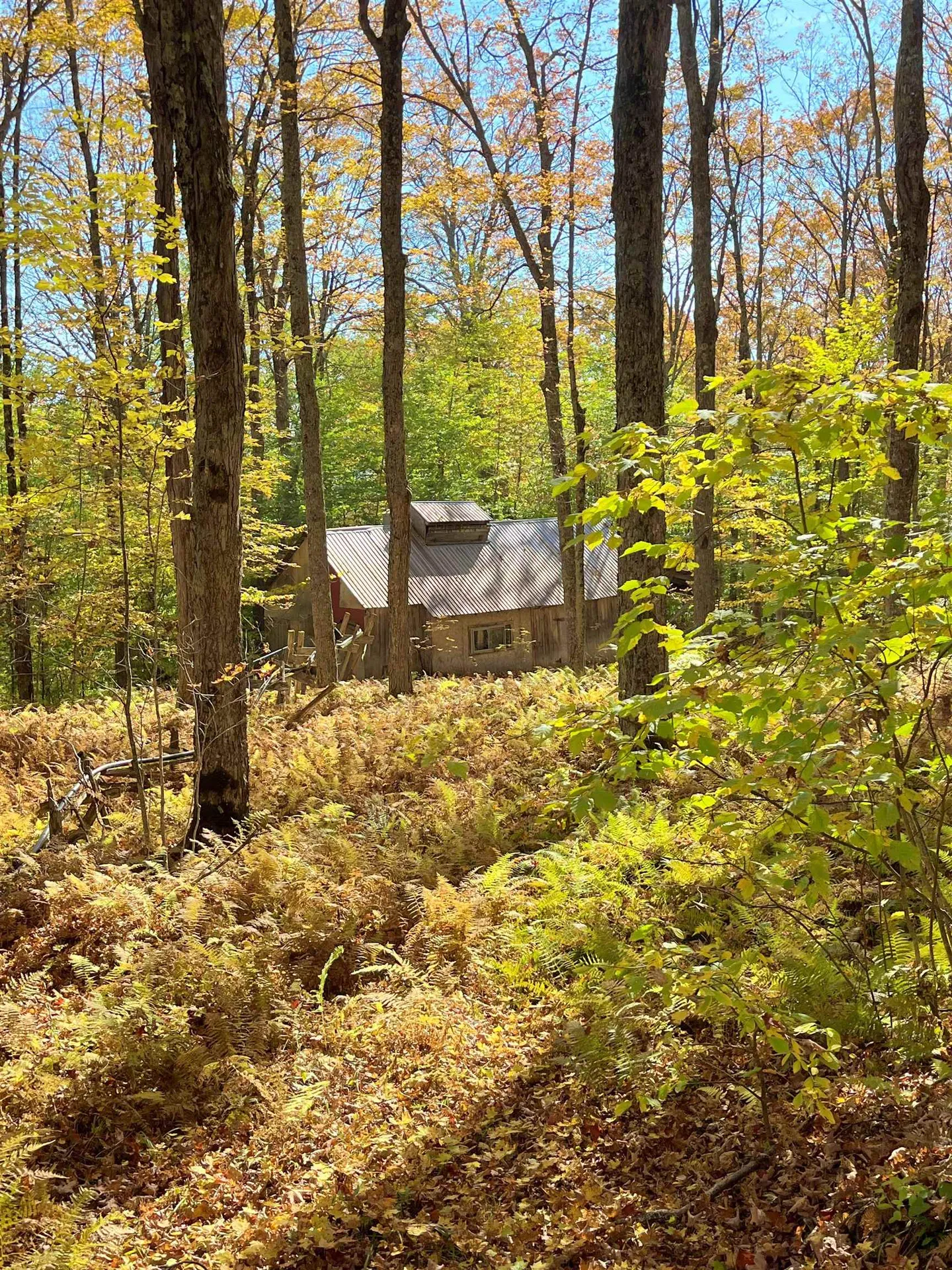 0 King Road Glover VT 05875