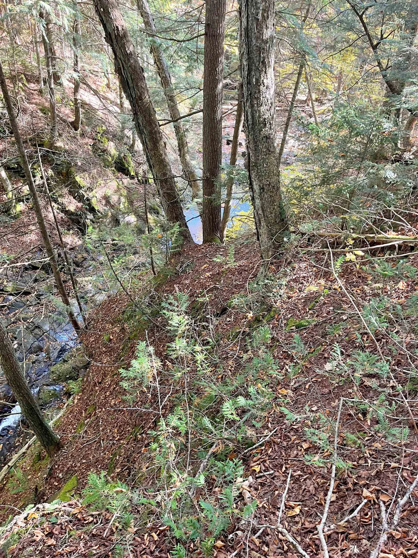 0 King Road Glover VT 05875