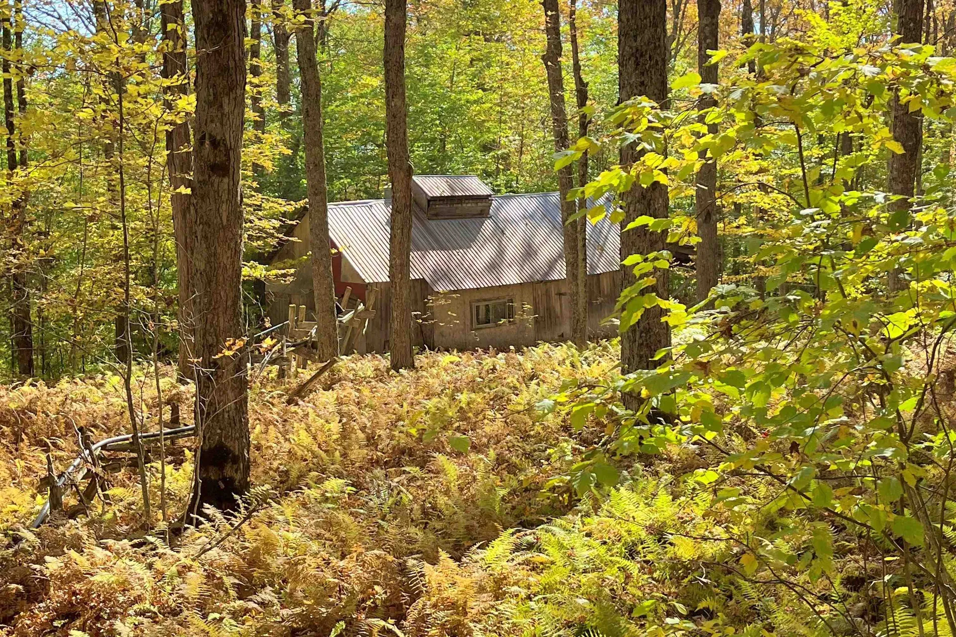 0 King Road Glover VT 05875