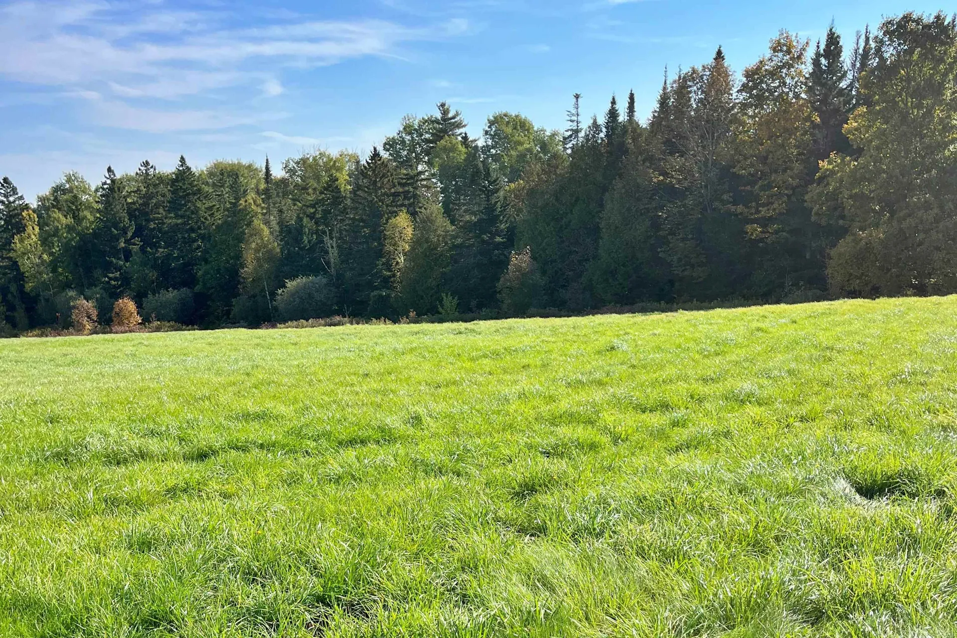 0 King Road Glover VT 05875