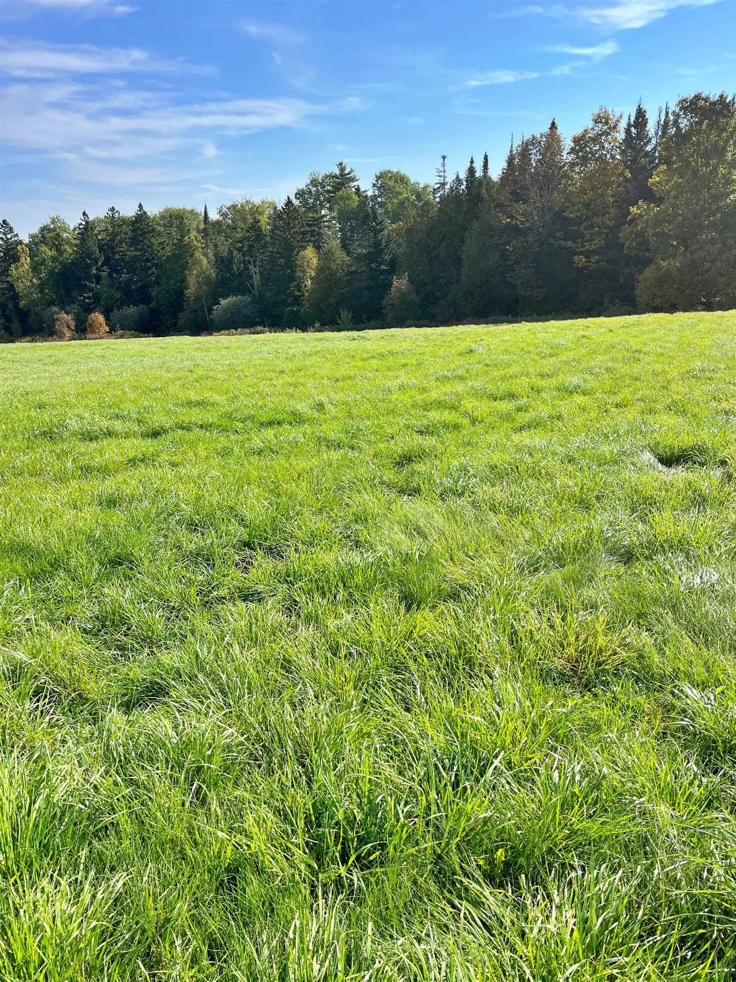 0 King Road Glover VT 05875