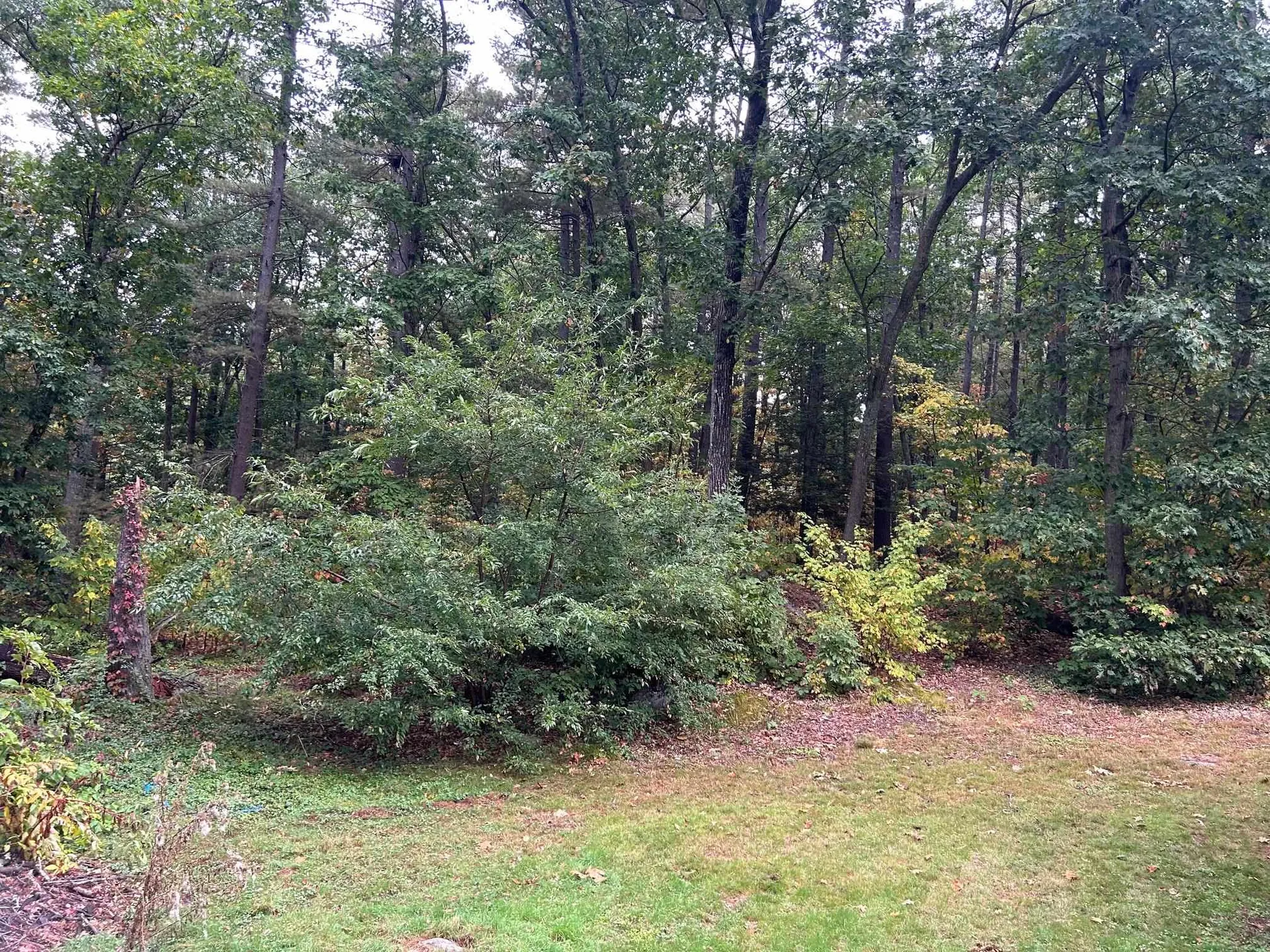 3 Yellow Wood Drive Pelham NH 03076