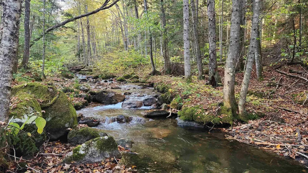 On Arcadia Lane Westmore VT 05860