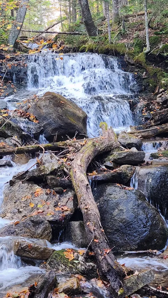 On Arcadia Lane Westmore VT 05860