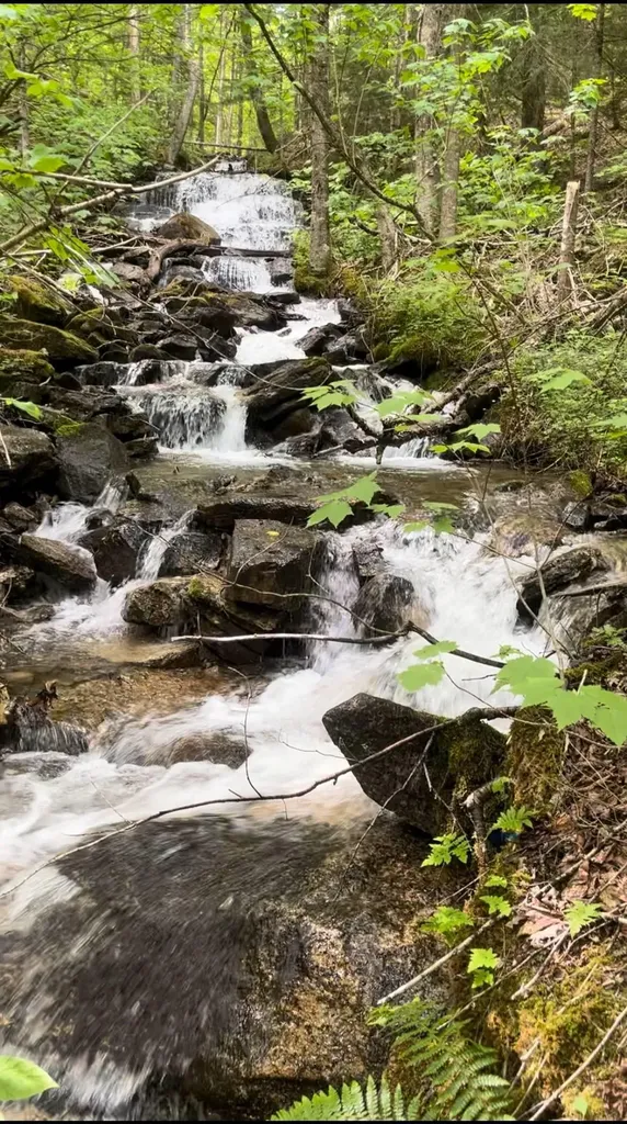 On Arcadia Lane Westmore VT 05860